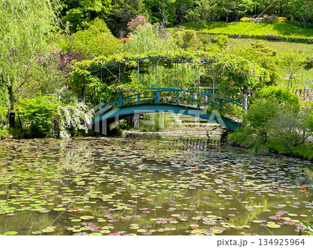 モネを連想　レッドヒル ヒーサーの森　スイレン池　と　オリーブ橋 134925964