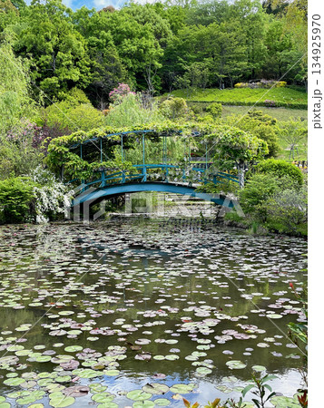 モネを連想　レッドヒル ヒーサーの森　スイレン池　と　オリーブ橋 134925970
