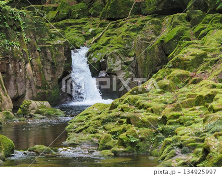 苔むした渓谷に流れる小さな滝と清流 静かな森林風景(赤目渓谷, 名張市, 三重県)2 苔むした渓谷に流れる小さな滝と清流 静かな森林風景(赤目渓谷, 名張市, 三重県)2 134925997