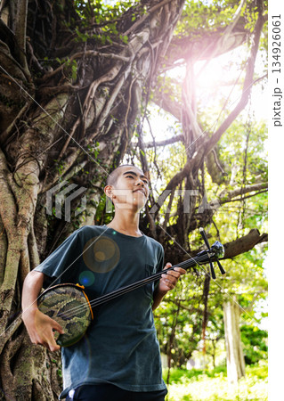 ガジュマルの下で三線を奏でる少年 134926061