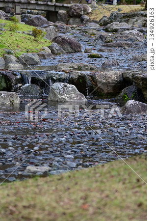 The scene of Maruyama Park in autumn in Kyoto, Japan. The public park in Kyoto with beautiful scene. Stunning nature scene with colorful trees and ponds. Travel and nature concept. Japan nature view. The scene of Maruyama Park in autumn in Kyoto, Japan. The public park in Kyoto with beautiful scene. Stunning nature scene with colorful trees and ponds. Travel and nature concept. Japan nature view. 134926163