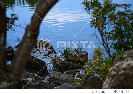 The scene of Maruyama Park in autumn in Kyoto, Japan. The public park in Kyoto with beautiful scene. Stunning nature scene with colorful trees and ponds. Travel and nature concept. Japan nature view. 134926171