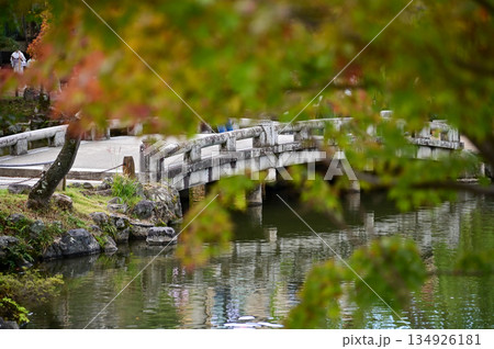 The scene of Maruyama Park in autumn in Kyoto, Japan. The public park in Kyoto with beautiful scene. Stunning nature scene with colorful trees and ponds. Travel and nature concept. Japan nature view. The scene of Maruyama Park in autumn in Kyoto, Japan. The public park in Kyoto with beautiful scene. Stunning nature scene with colorful trees and ponds. Travel and nature concept. Japan nature view. 134926181