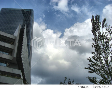 六月の雲-5 134926402