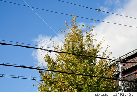 The view of utility pole, electric wires, electricity pylon at street in Kyoto, Japan. The view of utility pole, electric wires, electricity pylon at street in Kyoto, Japan. 134926450