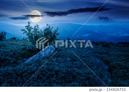 hiking trail through mountain landscape at night. mountains under sky with clouds in full moon light. scenery with green grass and rolling hills. questionable finance investment or abstract concepts 134926733