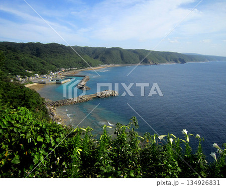 春のうてな 134926831