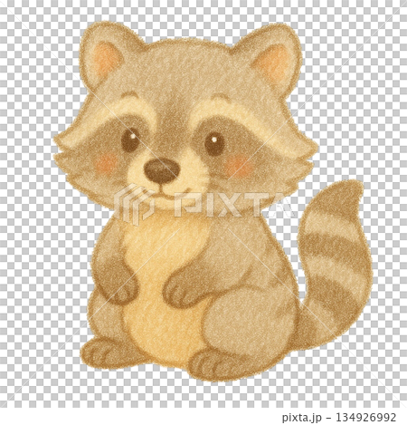 【動物】浣熊的色鉛筆插圖 134926992