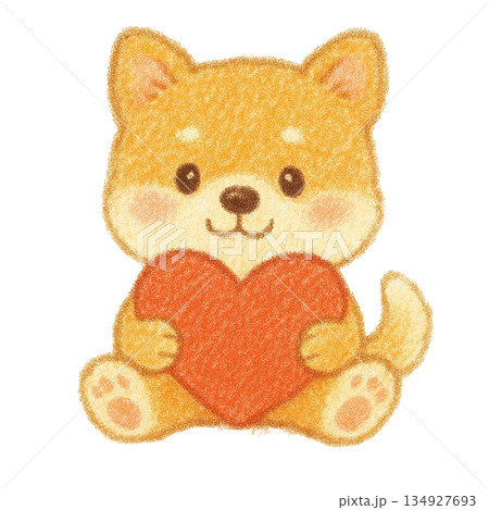 ハートを抱いた柴犬のイラスト 134927693