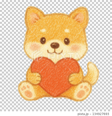 ハートを抱いた柴犬のイラスト 134927693