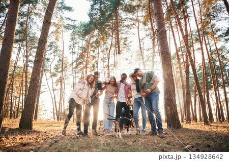 Standing, fun with dog. Group of friends are together in the forest 134928642