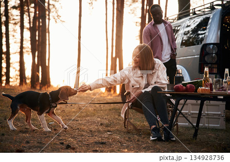 Man and woman are together in the forest with the dog near the car Man and woman are together in the forest with the dog near the car 134928736