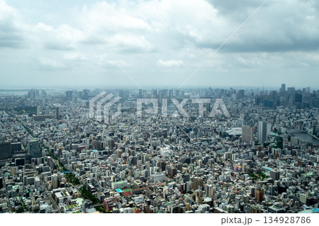 Aerial view of central Tokyo cityscape in Japan 134928786