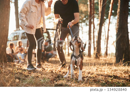 Cute little dog. Group of friends are together in the forest 134928840