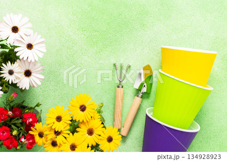 Bright spring flowers in vibrant colors decorate a balcony. Gardening tools lie next to colorful pots, inspiring a joyful planting activity on a sunny day 134928923