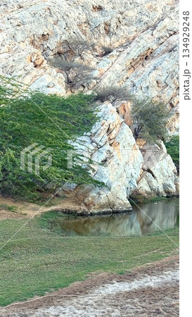 Tranquil Scenic View, Serene Landscape With Water Mirroring, Peaceful Setting Showcasing Natural Water Reflections, Undisturbed Lush Environment Featuring Calm Water Surfaces And Reflections Tranquil Scenic View, Serene Landscape With Water Mirroring, Peaceful Setting Showcasing Natural Water Reflections, Undisturbed Lush Environment Featuring Calm Water Surfaces And Reflections 134929248