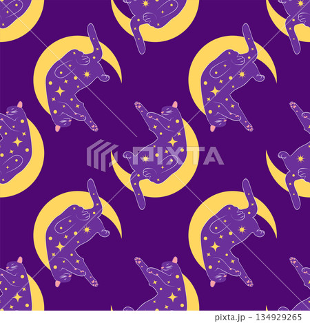 Mystical seamless pattern of cats in boho style, silhouette collection. Witchcraft and magic Mystical seamless pattern of cats in boho style, silhouette collection. Witchcraft and magic 134929265