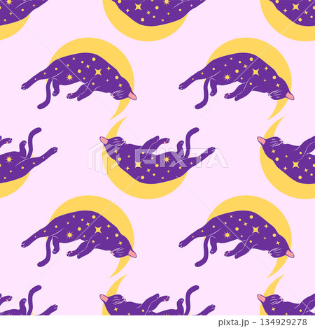 Mystical seamless pattern of cats in boho style, silhouette collection. Witchcraft and magic Mystical seamless pattern of cats in boho style, silhouette collection. Witchcraft and magic 134929278