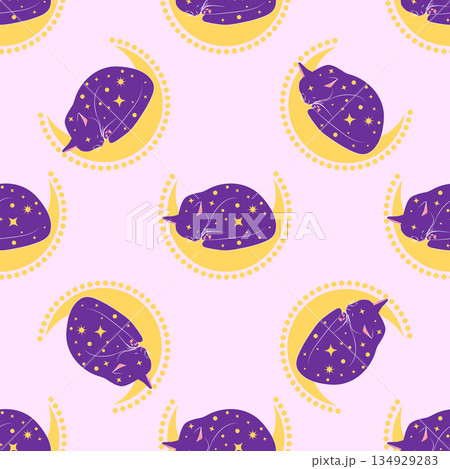 Mystical seamless pattern of cats in boho style, silhouette collection. Witchcraft and magic Mystical seamless pattern of cats in boho style, silhouette collection. Witchcraft and magic 134929283