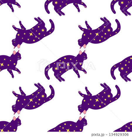 Mystical seamless pattern of cats in boho style, silhouette collection. Witchcraft and magic Mystical seamless pattern of cats in boho style, silhouette collection. Witchcraft and magic 134929306