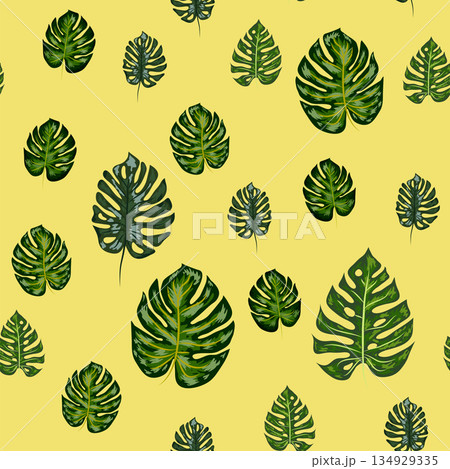 Monstera leaves vector tropical seamless pattern. Green botanical design with tropical monstera leaves 134929335