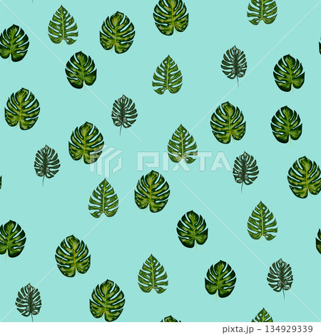 Monstera leaves vector tropical seamless pattern. Green botanical design with tropical monstera leaves Monstera leaves vector tropical seamless pattern. Green botanical design with tropical monstera leaves 134929339