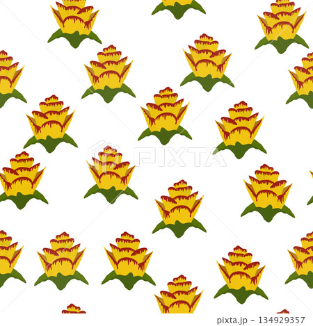 Orange Strelitzia flower pattern design with leaves and stem, calla lilies, hibiscus, tropical flowers. Hawaiian beach vacation Orange Strelitzia flower pattern design with leaves and stem, calla lilies, hibiscus, tropical flowers. Hawaiian beach vacation 134929357