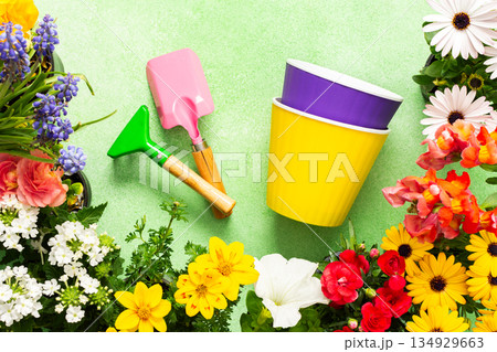 Bright spring flowers surround colorful pots and gardening tools on a balcony terrace, creating a lively and cheerful atmosphere perfect for home decoration Bright spring flowers surround colorful pots and gardening tools on a balcony terrace, creating a lively and cheerful atmosphere perfect for home decoration 134929663