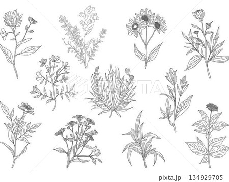 花束　リース　スワッグ 134929705