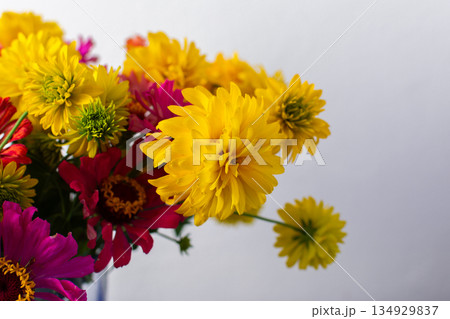 Enhance your home with a lively summer bouquet of Zinnia and Rudbeckia Goldquelle, offering a fresh, colorful display and seasonal elegance 134929837