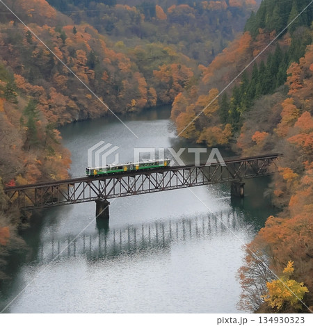 紅葉の只見線 紅葉の只見線 134930323