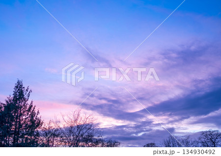 Winter background. Tree branches against blue pink winter sky at sunset. Winter background. Tree branches against blue pink winter sky at sunset. 134930492