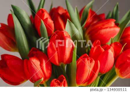 Red tulips macro photo. Easter spring or birthday greeting card Red tulips macro photo. Easter spring or birthday greeting card 134930511
