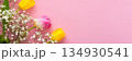 Spring background with tulips and gypsophila 134930541