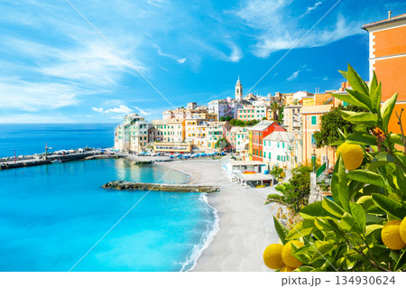 View of Bogliasco. Bogliasco is a ancient fishing village in Italy, Genoa, Liguria View of Bogliasco. Bogliasco is a ancient fishing village in Italy, Genoa, Liguria 134930624