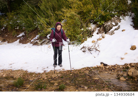 Woman Hiking With Poles On Snowy Forest Trail During Winter Trek Outdoors Woman Hiking With Poles On Snowy Forest Trail During Winter Trek Outdoors 134930684