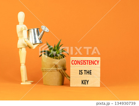 Consistency is the key symbol. Concept words Consistency is the key on beautiful wooden blocks. Beautiful orange background. Businessman's model. Business consistency is the key concept. Copy space. Consistency is the key symbol. Concept words Consistency is the key on beautiful wooden blocks. Beautiful orange background. Businessman's model. Business consistency is the key concept. Copy space. 134930739