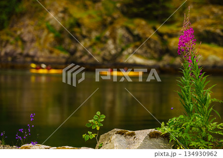 Fjord shore and people kayaking Fjord shore and people kayaking 134930962
