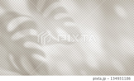 Tropical palm shadow overlay on white background with realistic leaf silhouette and soft sunlight effect for summer design projects and natural mockups 134931186