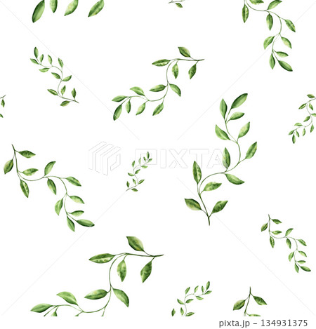 Branch with leaves. Watercolor seamless pattern, hand drawn pastel climbing green liana. Isolated botanical illustration on transparent background. Perfect for tropical design projects. For designers Branch with leaves. Watercolor seamless pattern, hand drawn pastel climbing green liana. Isolated botanical illustration on transparent background. Perfect for tropical design projects. For designers 134931375
