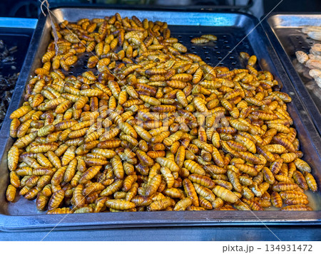 Silkworm Pupae Street Food 134931472