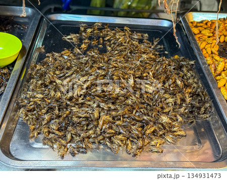Fried Edible Crickets Street Food Fried Edible Crickets Street Food 134931473