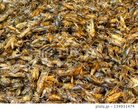 Fried Crickets Street Food 134931474