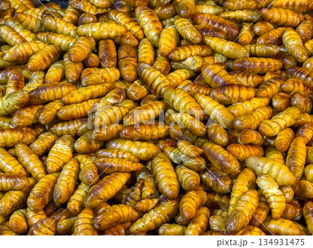 Silkworm Pupae Street Food 134931475