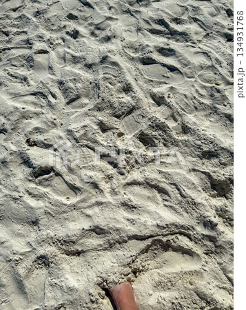 Barefoot Steps on Sandy Beach Barefoot Steps on Sandy Beach 134931768