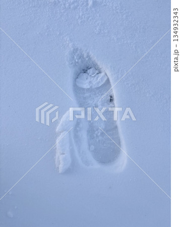 雪に残る足跡のクローズアップ 雪に残る足跡のクローズアップ 134932343