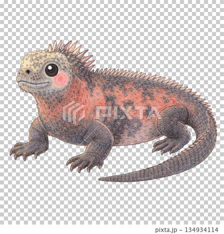 【海洋生物】色鉛筆繪製的海鬣蜥插圖 134934114