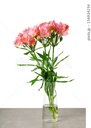 Flowers bouquet pink alstroemeria, Lily of the Incas, in vase on isolated white background 134934234