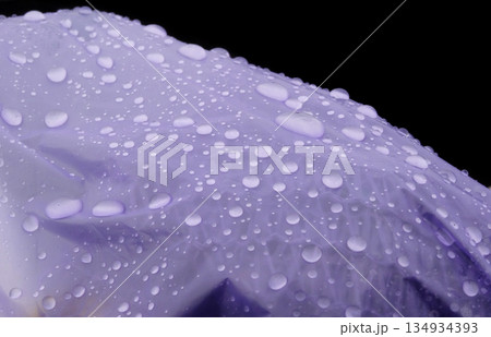 Drops of condensation on the polythene film detailed Drops of condensation on the polythene film detailed 134934393