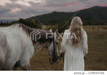 Woman leads gray horse through field at sunset near mountain range Woman leads gray horse through field at sunset near mountain range 134934788